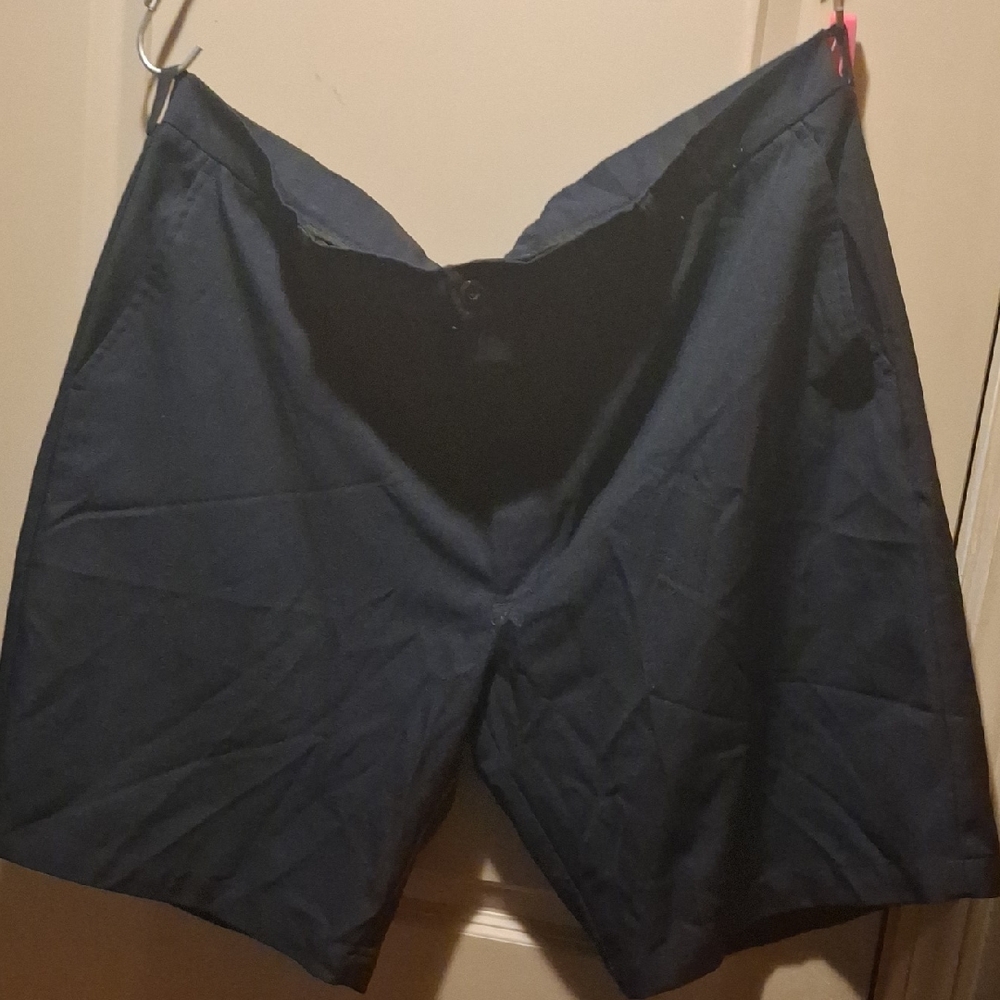 Hogan Dark Blue Flat Front Shorts